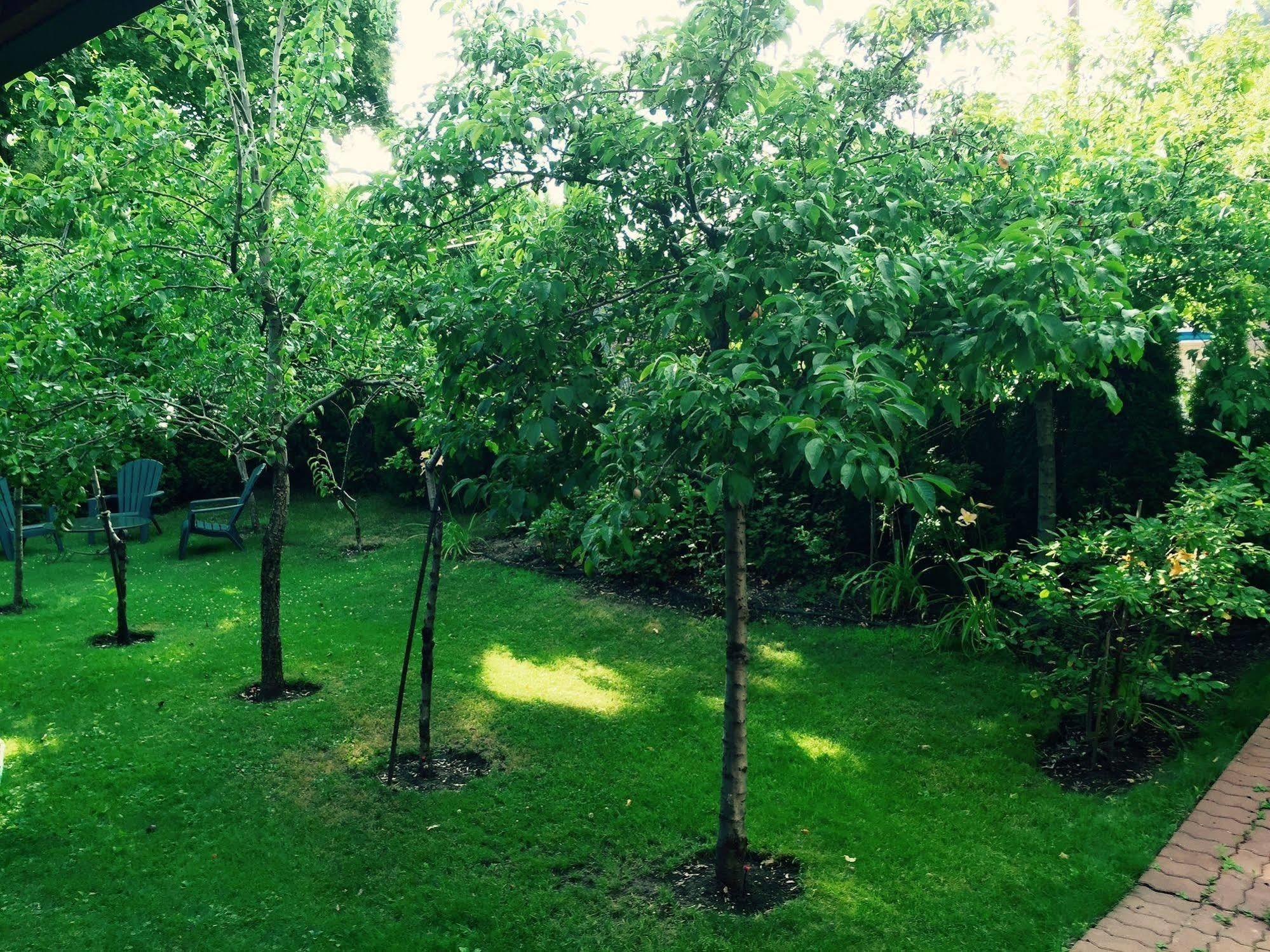 Luna Bed & Breakfast Grand Forks Dış mekan fotoğraf
